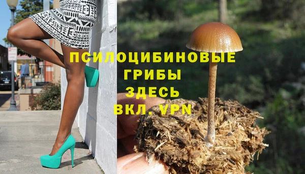крисы Арсеньев
